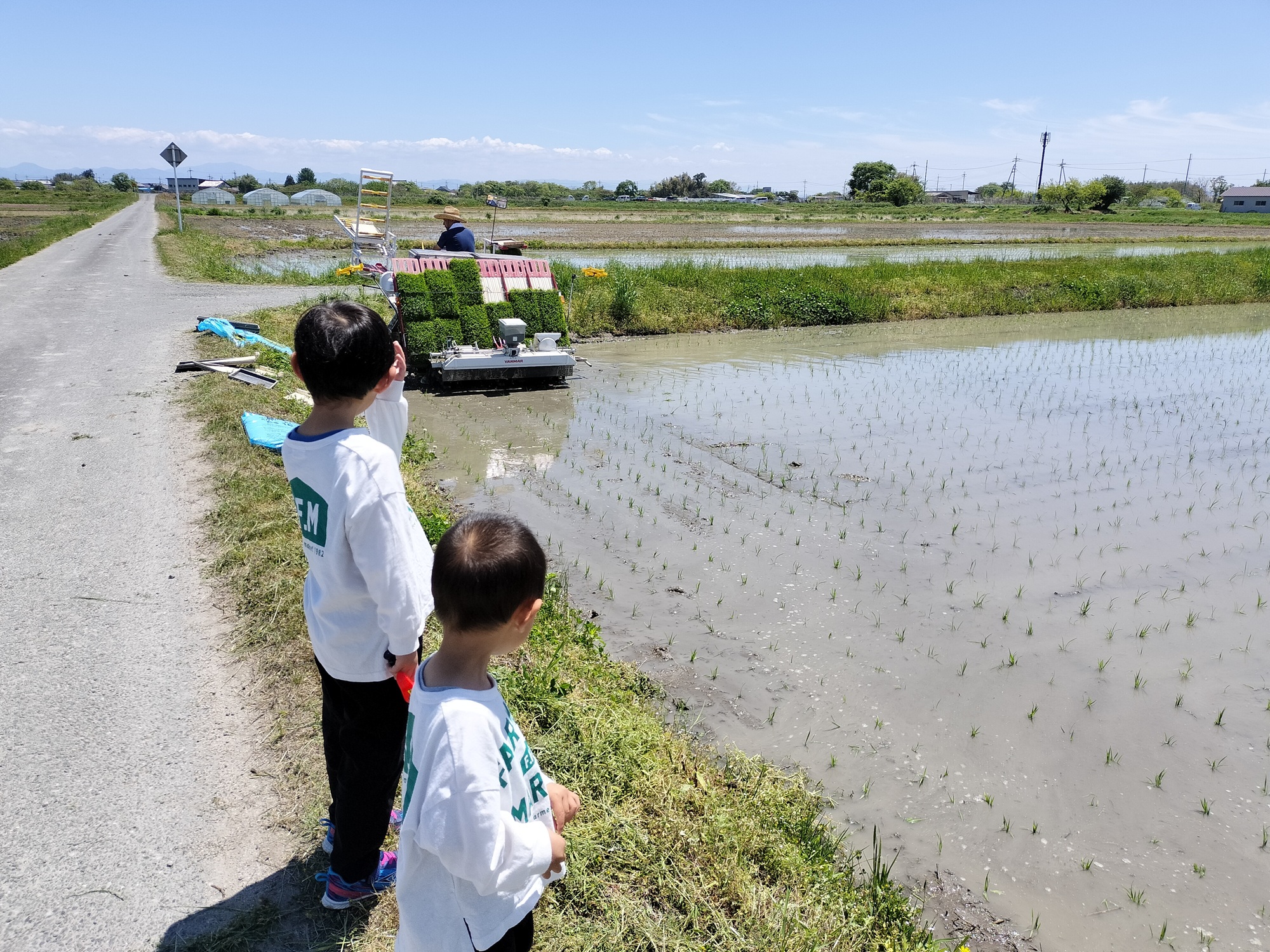 田植え 子どもと一緒に