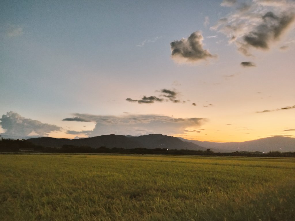 風景 田んぼ 稲穂
